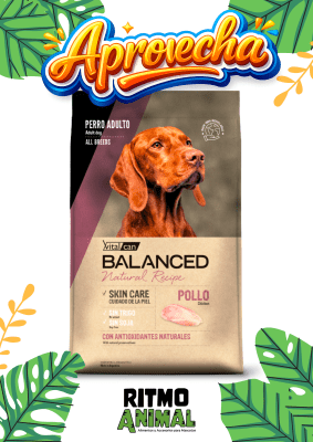 B. NATURAL RECIPE PERRO POLLO