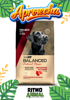 B. NATURAL RECIPE PERRO CARNE ARGENTINA