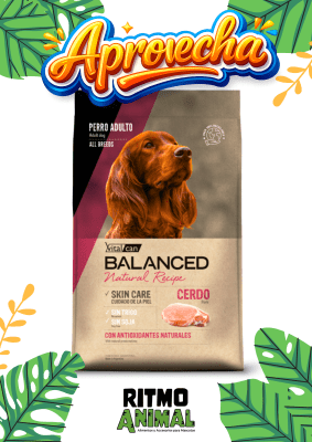 B. NATURAL RECIPE PERRO CERDO