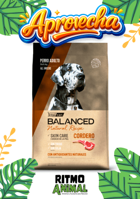 B. NATURAL RECIPE PERRO CORDERO