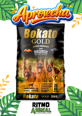 BOKATO GOLD