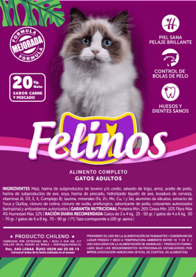 FELINO GATO
