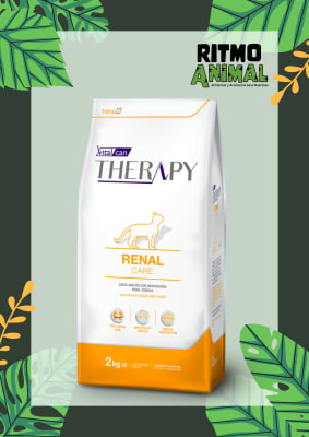 THERAPY GATO RENAL CARE