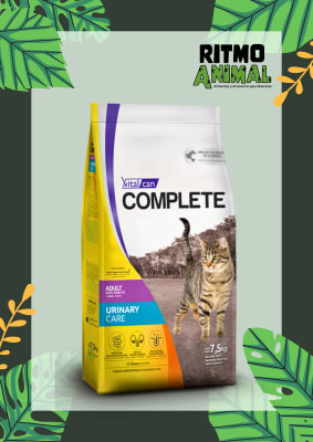 COMPLETE GATO ADULTO URINARY