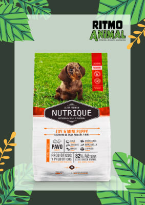 NUTRIQUE PERRO CACHORRO TOY & MINI