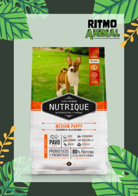 NUTRIQUE PERRO MEDIUM PUPPY