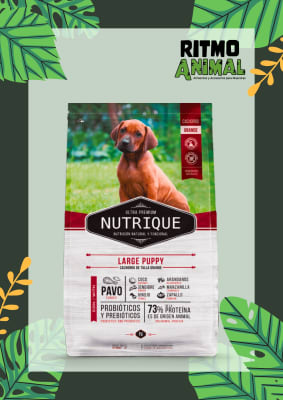 NUTRIQUE PERRO LARGE PUPPY