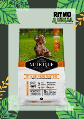 NUTRIQUE PERRO ADULTO TOY & MINI
