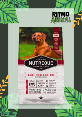 NUTRIQUE PERRO ADULTO LARGE YOUNG