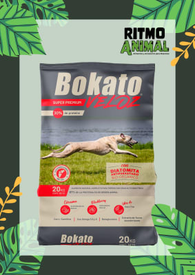 BOKATO VELOZ