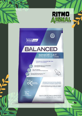 BALANCED GATO SENIOR