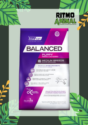 BALANCED PERRO CACHORRO RAZA MEDIANA