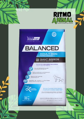 BALANCED PERRO ADULTO RAZA GIGANTE