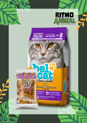 BELCAT PACK 24 AHORRO