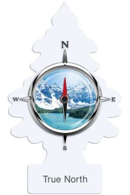 LITTLE TREES Pino Aromatizante TRUE NORTH