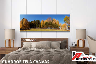 dorm-06 tela canvas