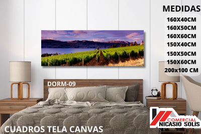 dorm-09 tela canvas