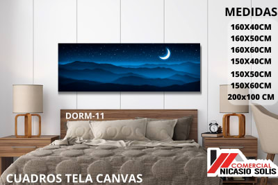 dorm-11 tela canvas