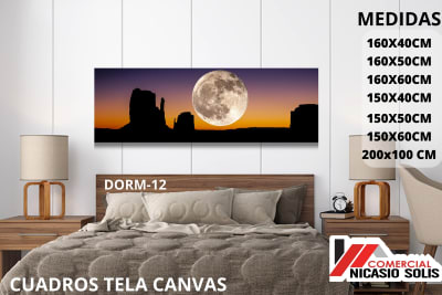 dorm-12 tela canvas