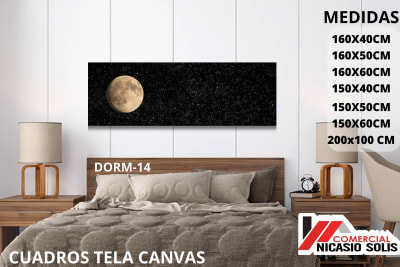 dorm-14 tela canvas