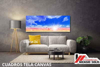 dorm-24 tela canvas