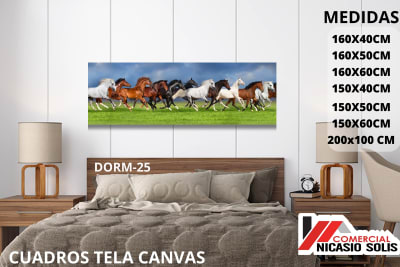 dorm-25 tela canvas