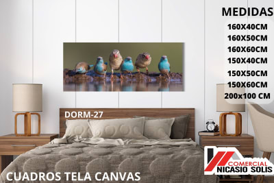dorm-27 tela canvas