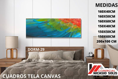 dorm-30 tela canvas