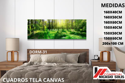 dorm-31 tela canvas