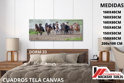 dorm-33 tela canvas