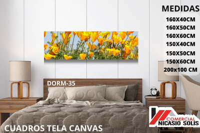 dorm-35 tela canvas