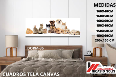 dorm-36 tela canvas