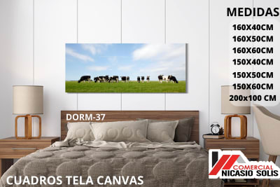 dorm-37 tela canvas