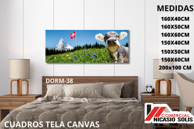 dorm-38 tela canvas