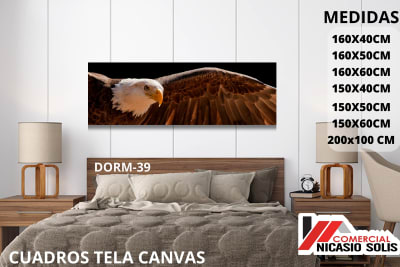 dorm-39 tela canvas
