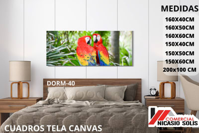 dorm-40 tela canvas