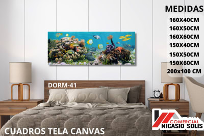dorm-41 tela canvas