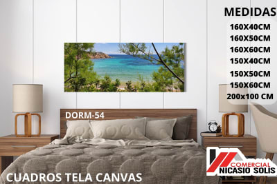 dorm-54 tela canvas