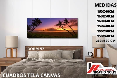 dorm-57 tela canvas
