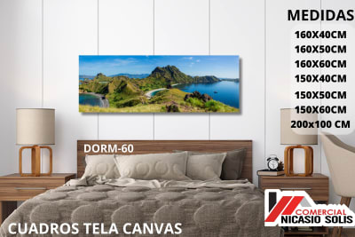 dorm-60 tela canvas