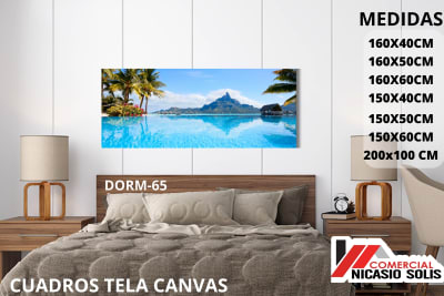dorm-65 tela canvas