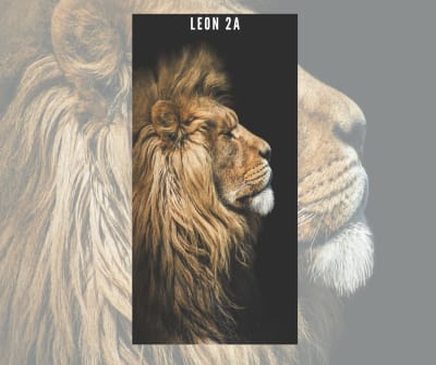 fibro marmol LEON 2A