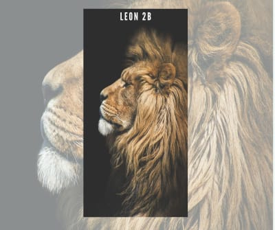 fibro marmol LEON 2B