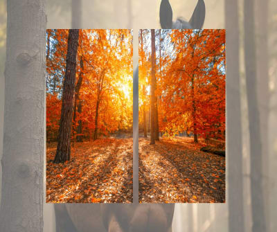 fibro marmol OTOÑO 1 DOS PLANCHAS