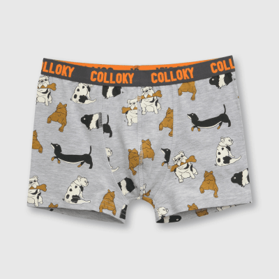 BOXER COLLOKY GRIS MELANGE 3 PACK BXSX0311