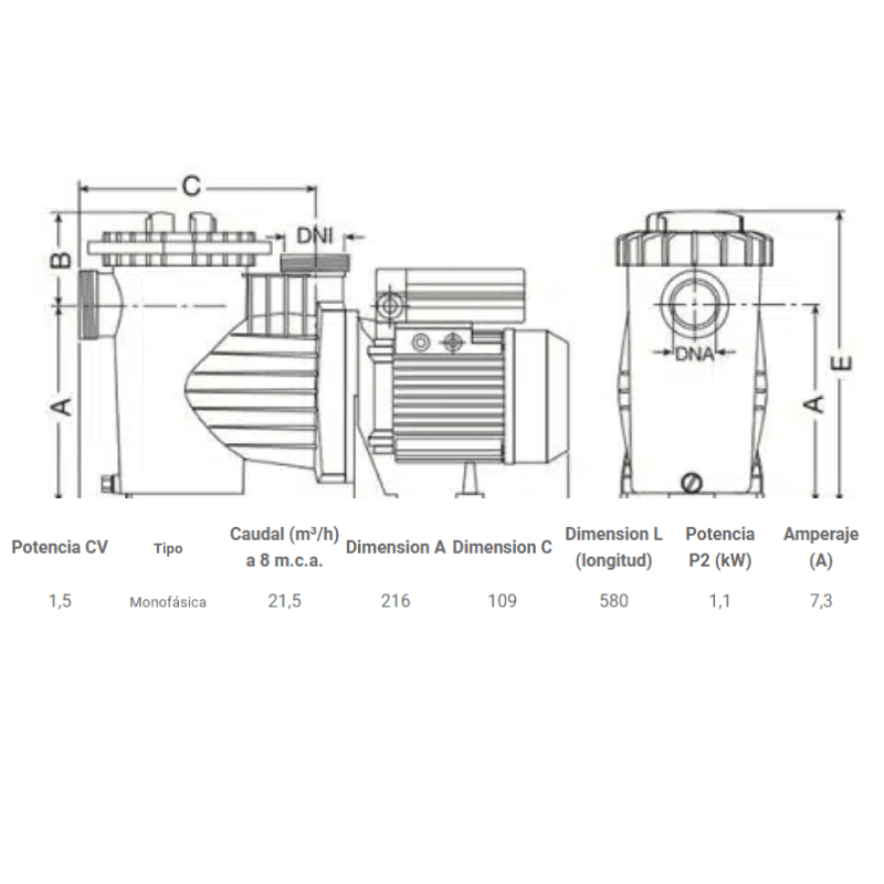BOMBA SACI WINNER 1,5 HP MOTOR ESPAÑOL2