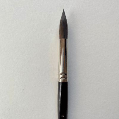 PINCEL ROSEMARY & CO Sienna Pointed Round
