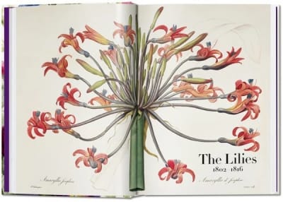 EL LIBRO DE LAS FLORES - Pierre-Joseph Redouté