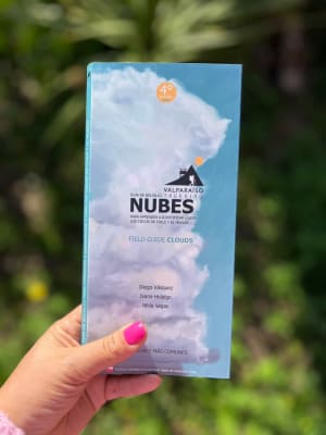 GUÍA DE BOLSILLO NUBES3