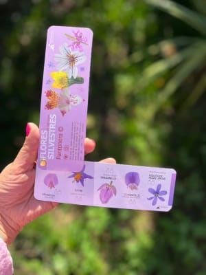 PANTONERA FLORES SILVESTRES1